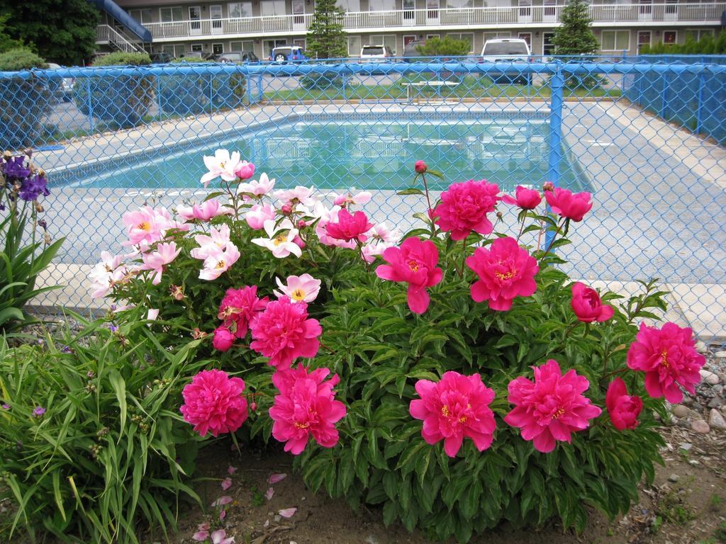 Grand Motel Toronto Exterior foto